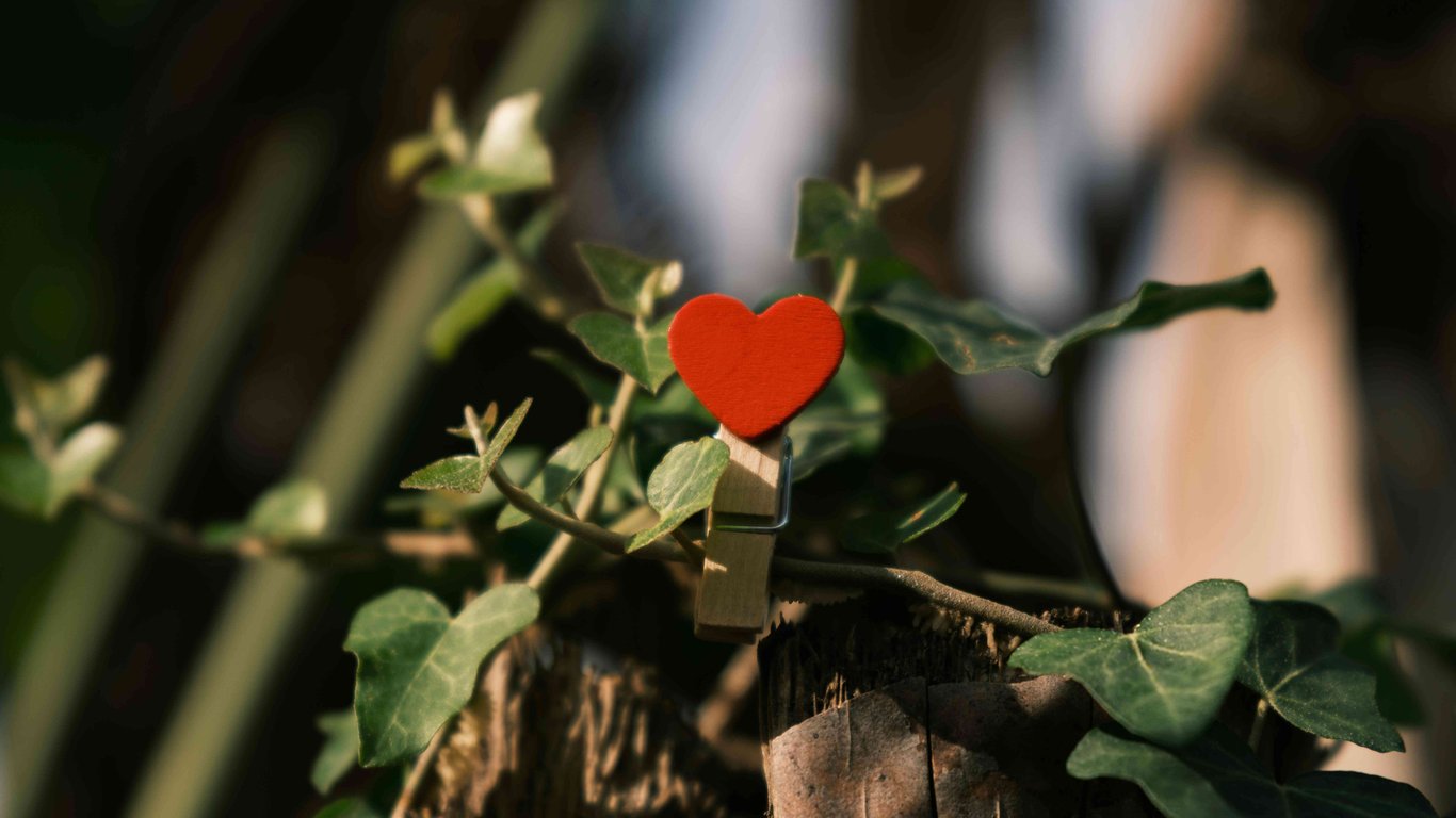 Valentýnská procházka v Táboře