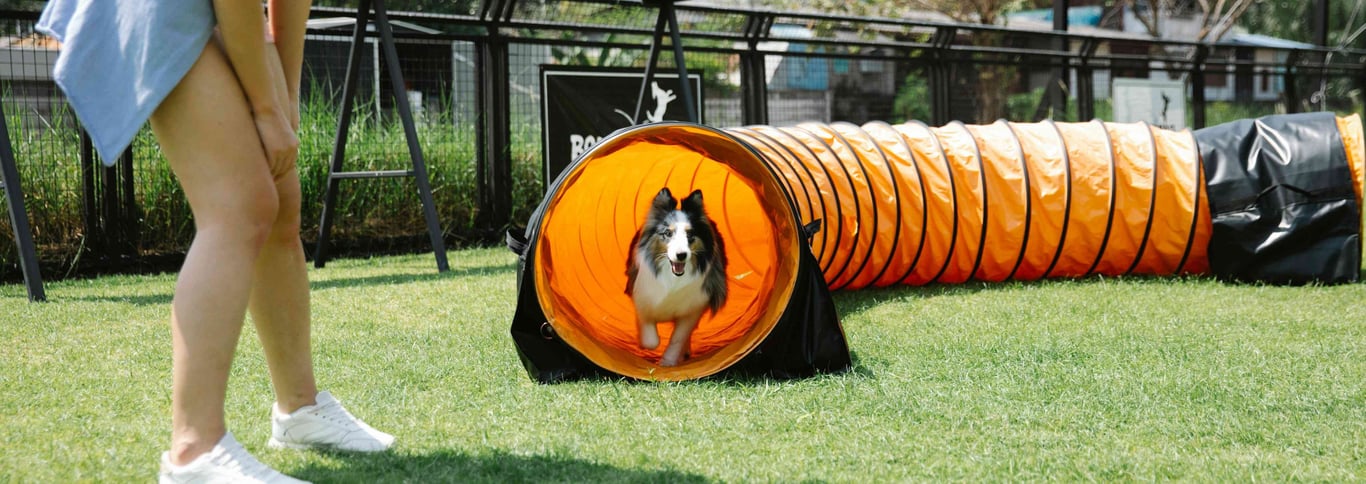 Agility - základy