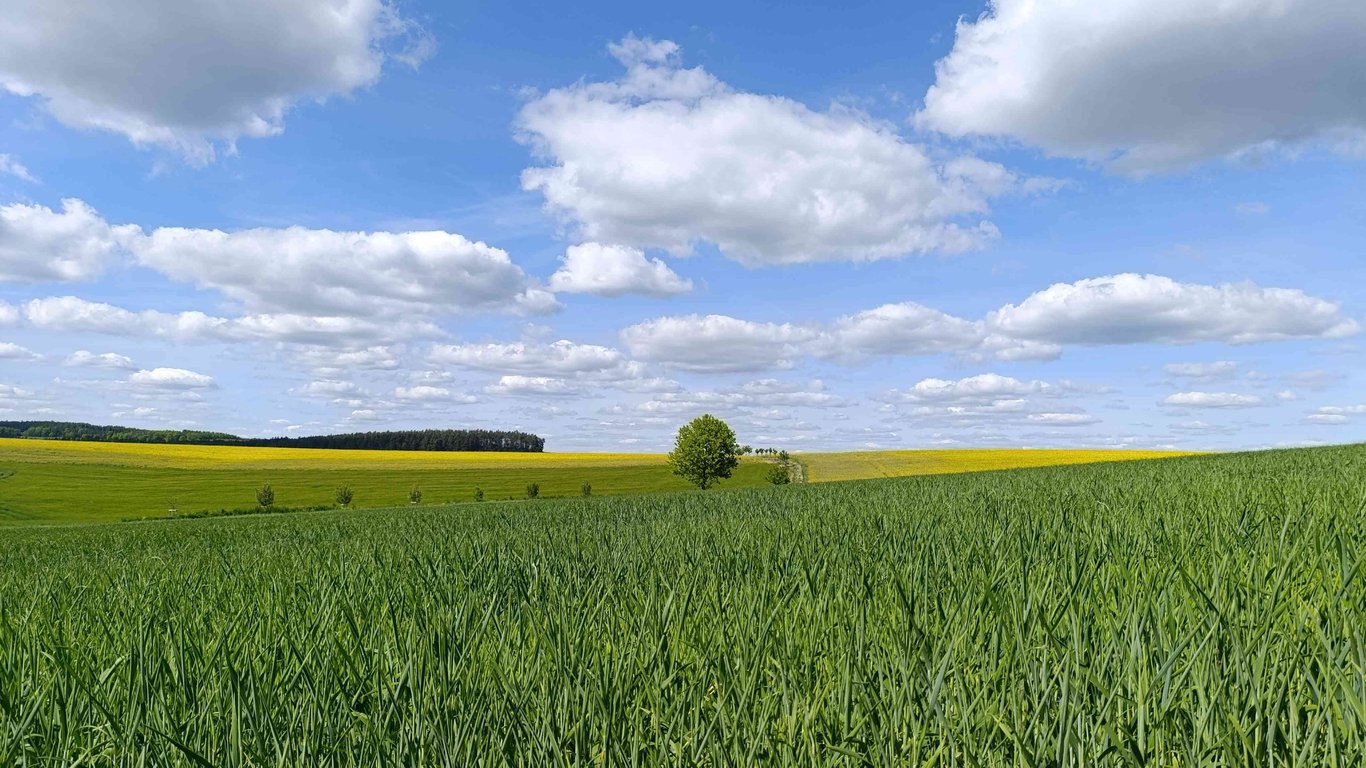 Procházka na pomoc 👣 - měsíc autismu