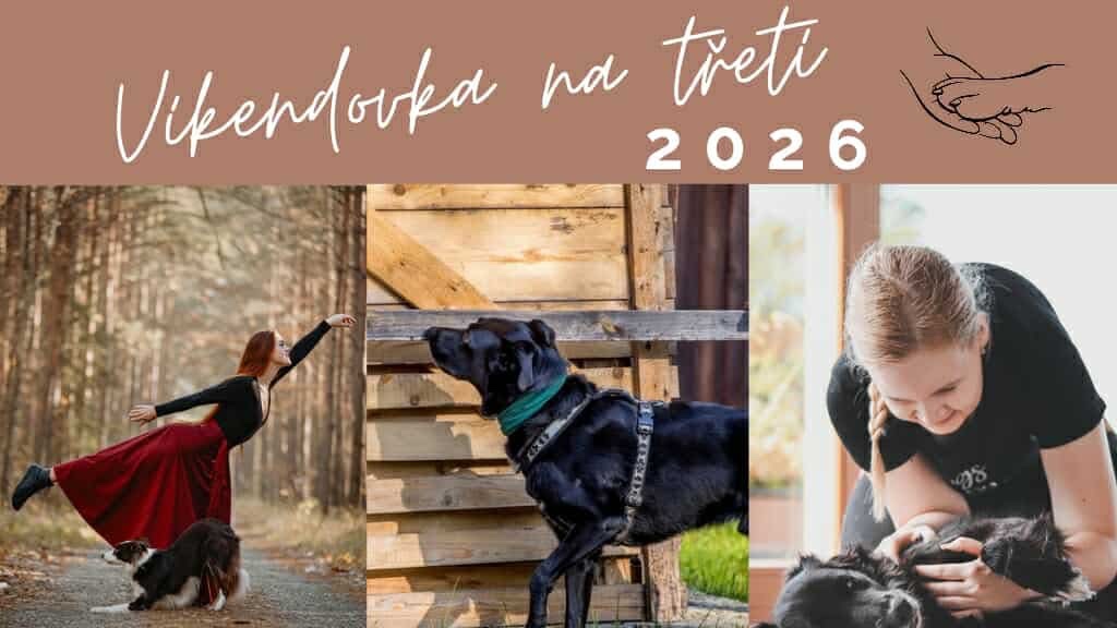Víkendovka na třetí 🐕🐕🐕