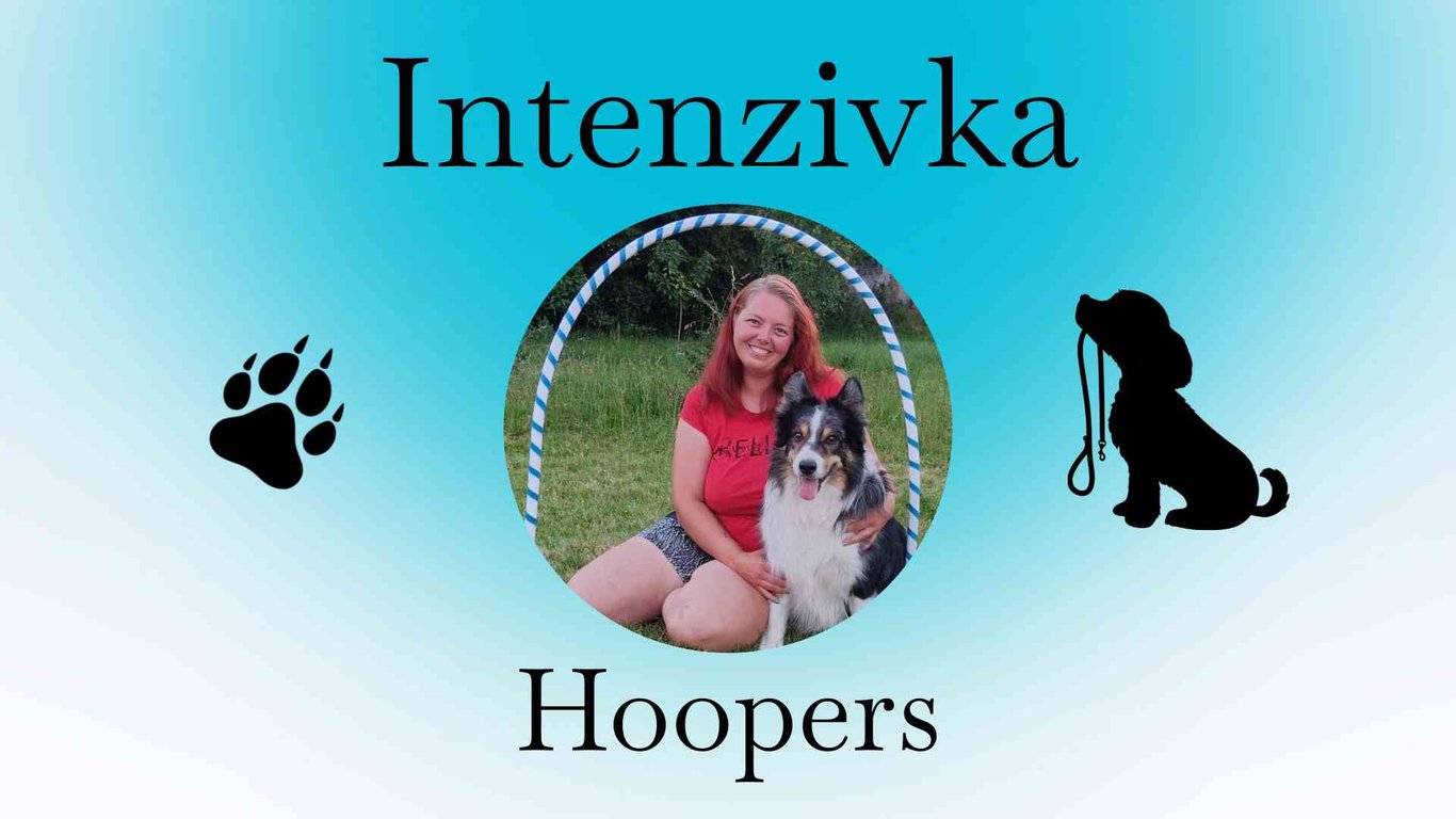 Předvánoční intenzivka Hoopers