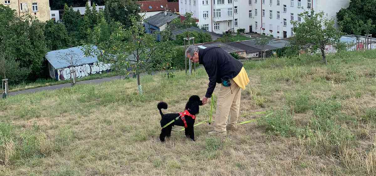 🐾 Přivolání