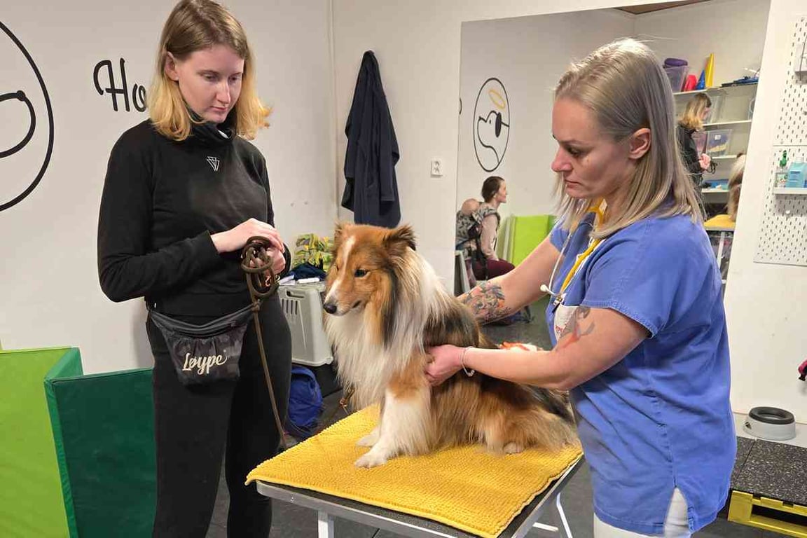Domácí a veterinární ošetření