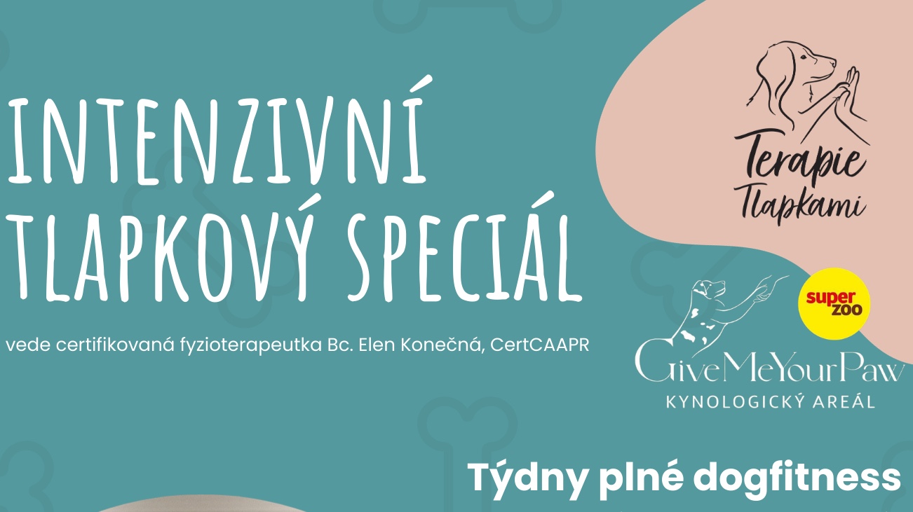 Intenzivní tlapkový speciál – dogfitness