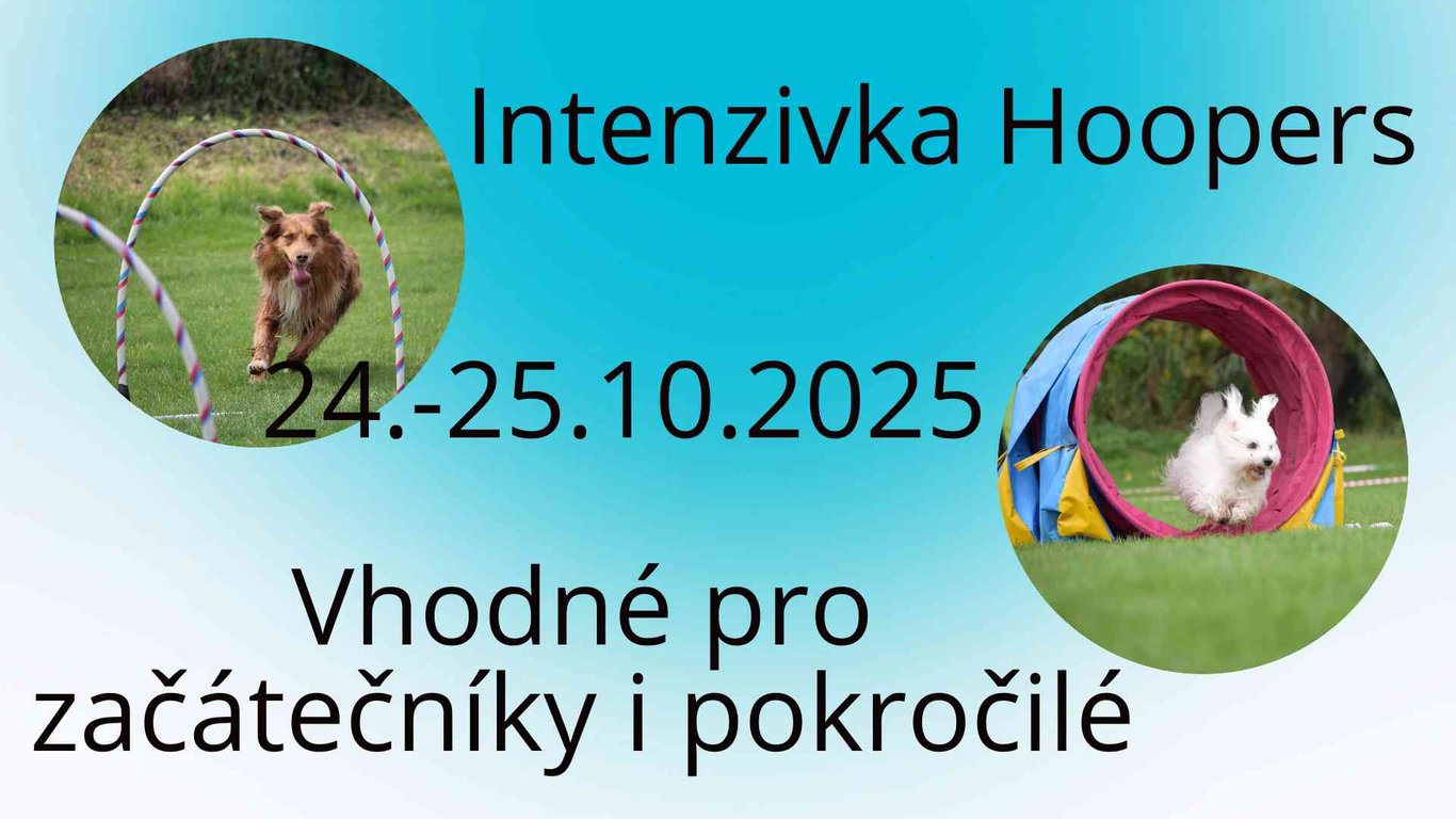 Intenzivka Hoopers