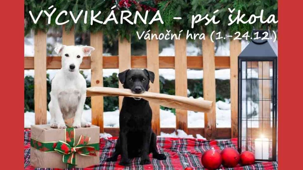 🎄Vánoční hraní s Výcvikárnou ONLINE
