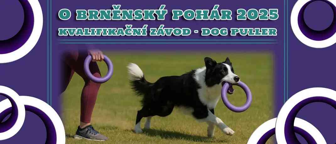 Dog Puller oficiální kvalifikační závod 2025 - "O brněnský pohár"