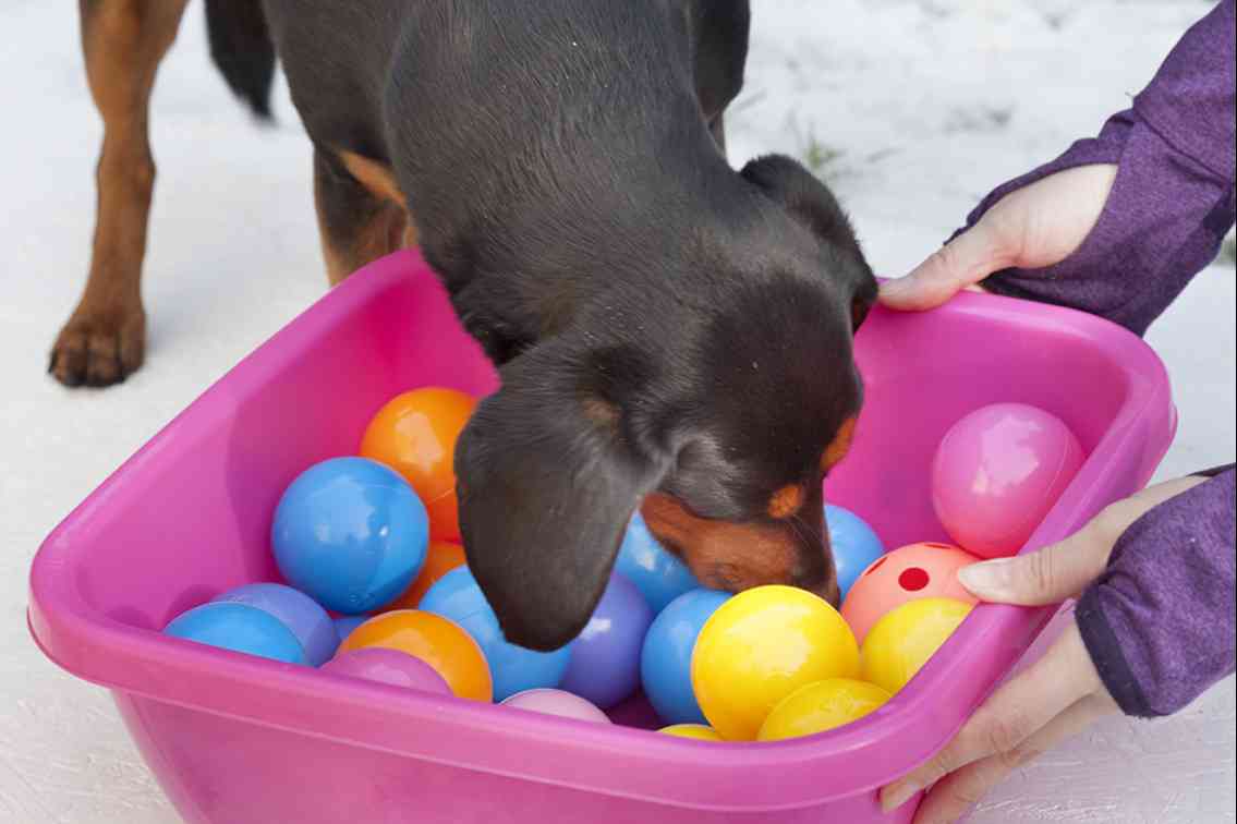 🐾 Hlavolamem k relaxaci