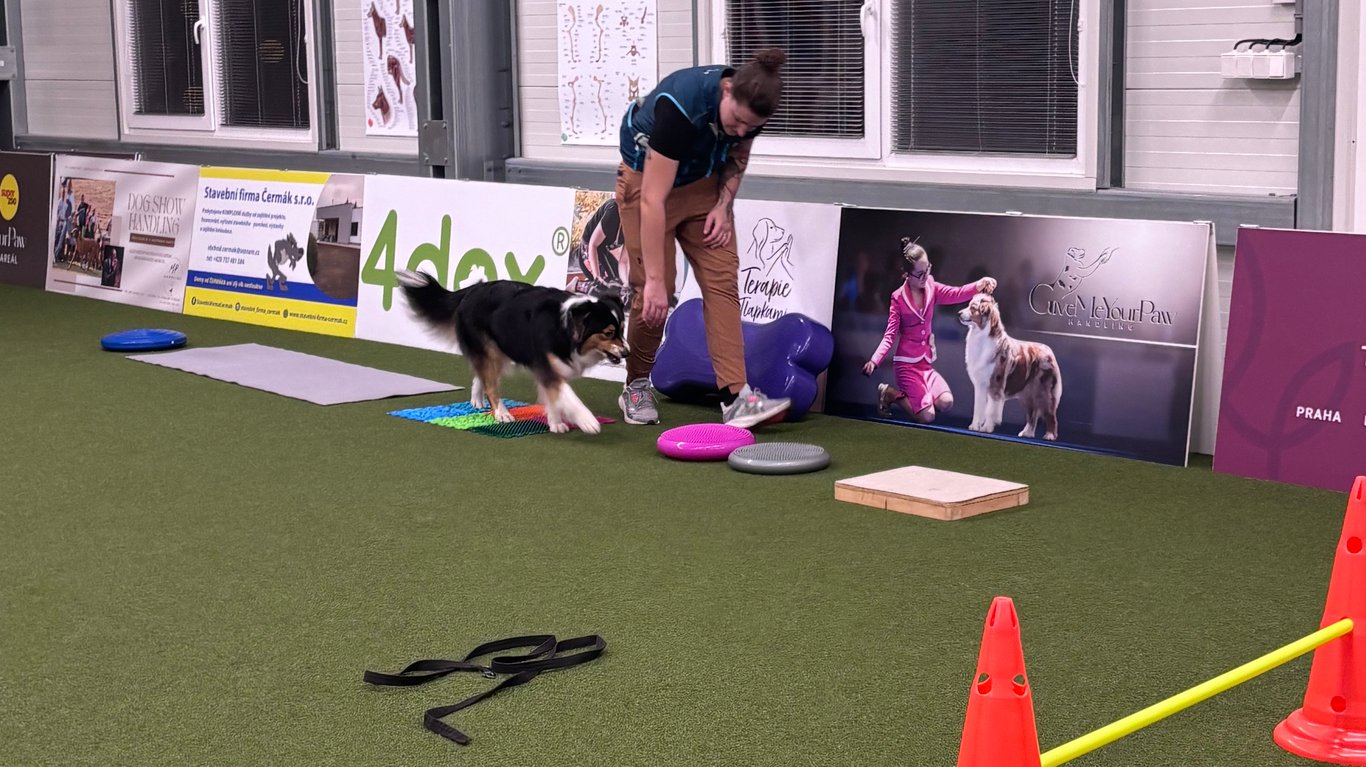 Kruhový trénink dogfitness v Rybitví