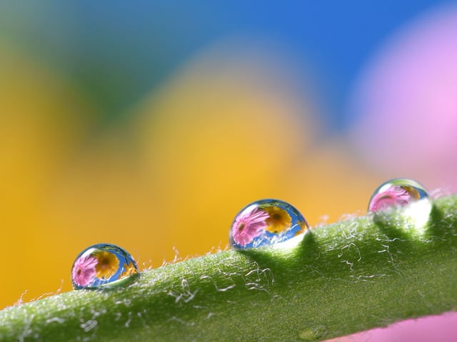 test-image.jpg