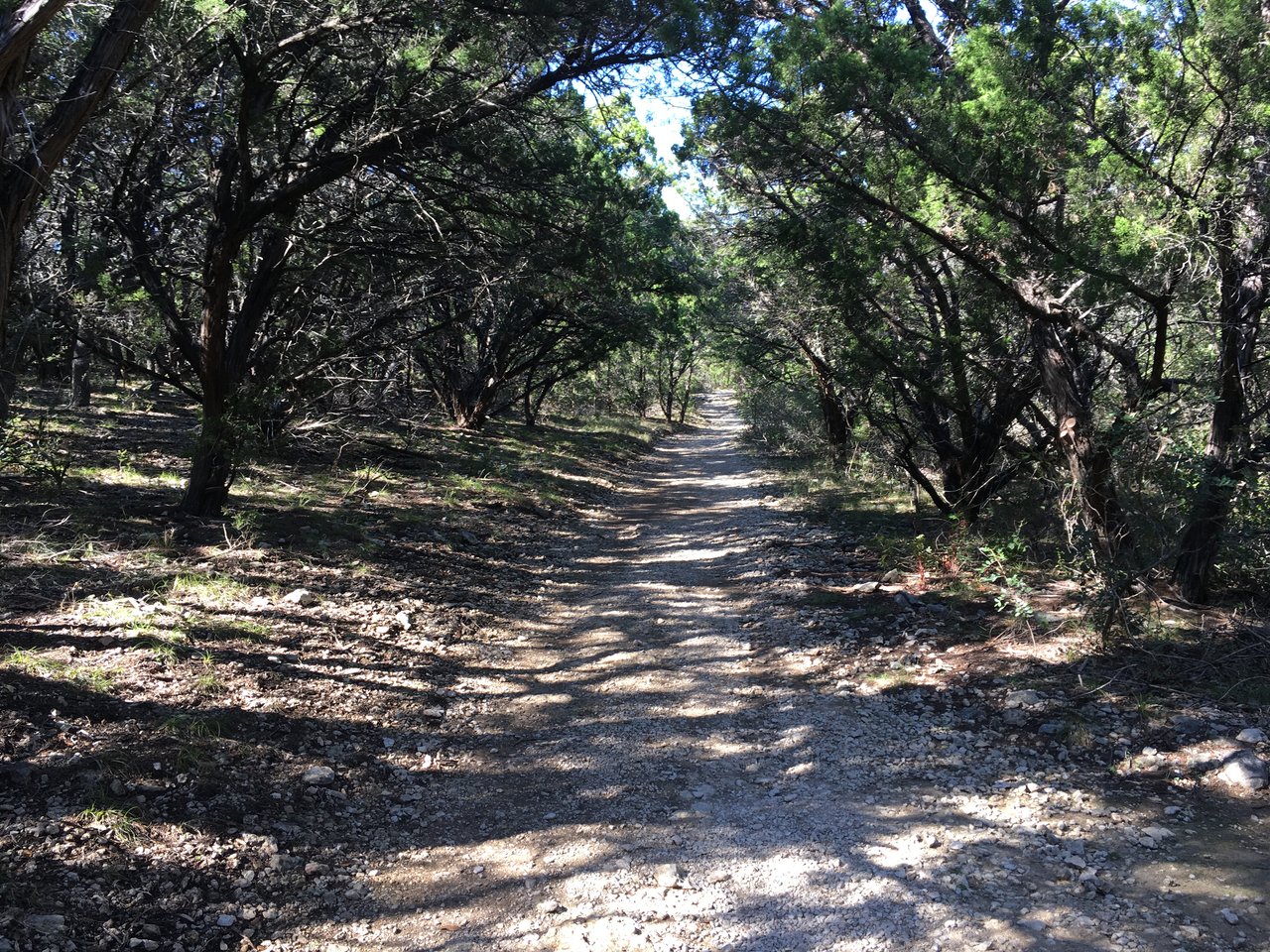 Dwight D. Eisenhower Park