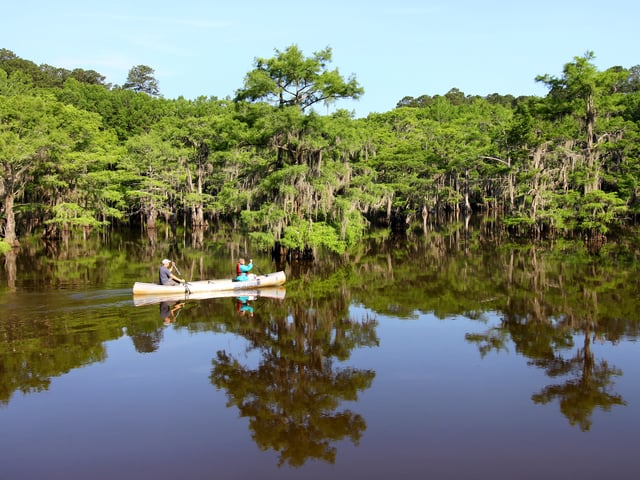 Caddo Lake State Park