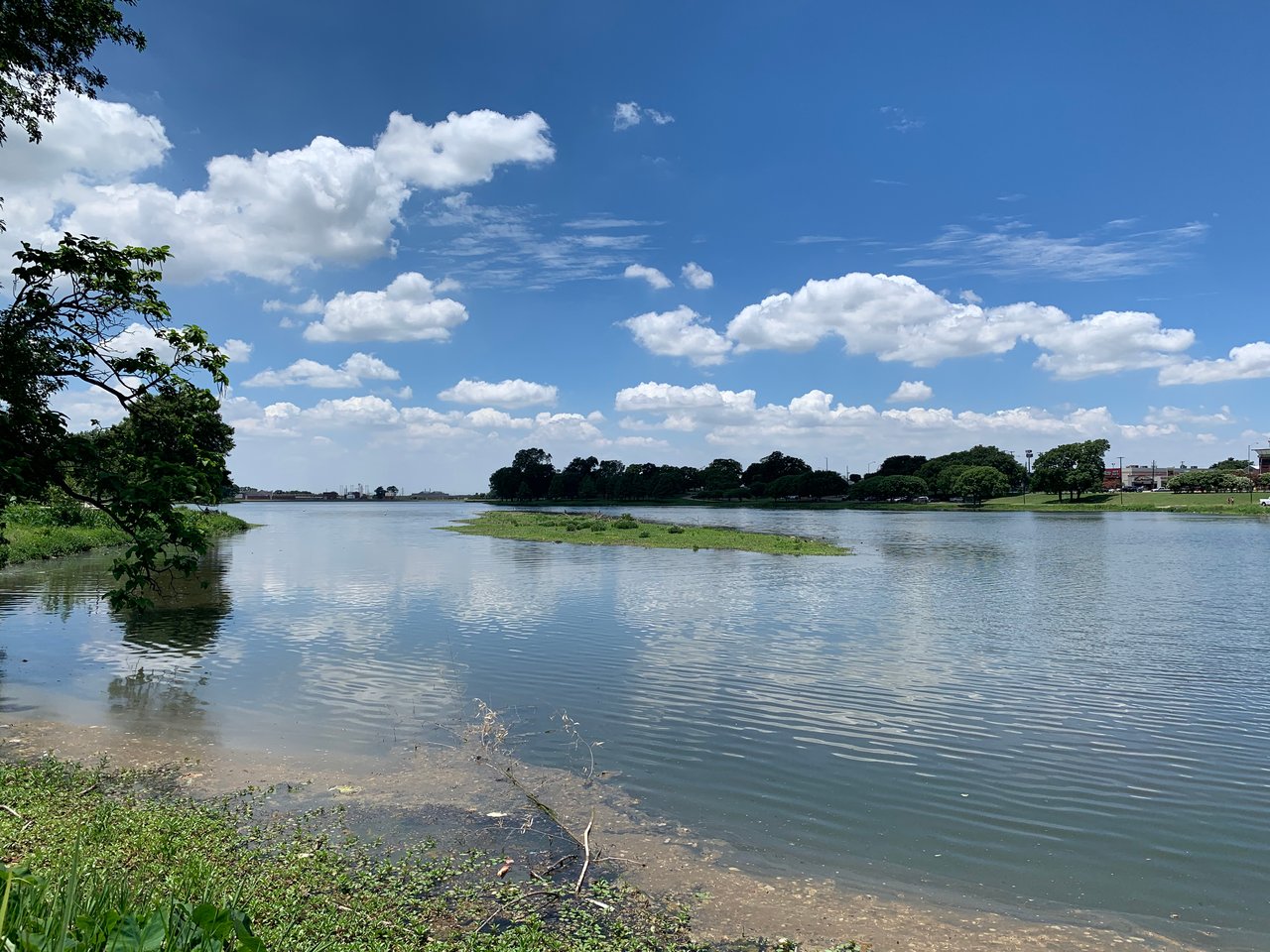 Bachman Lake