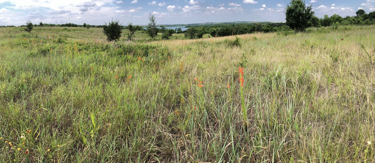 Louis René Barrera Indiangrass Wildlife Sanctuary
