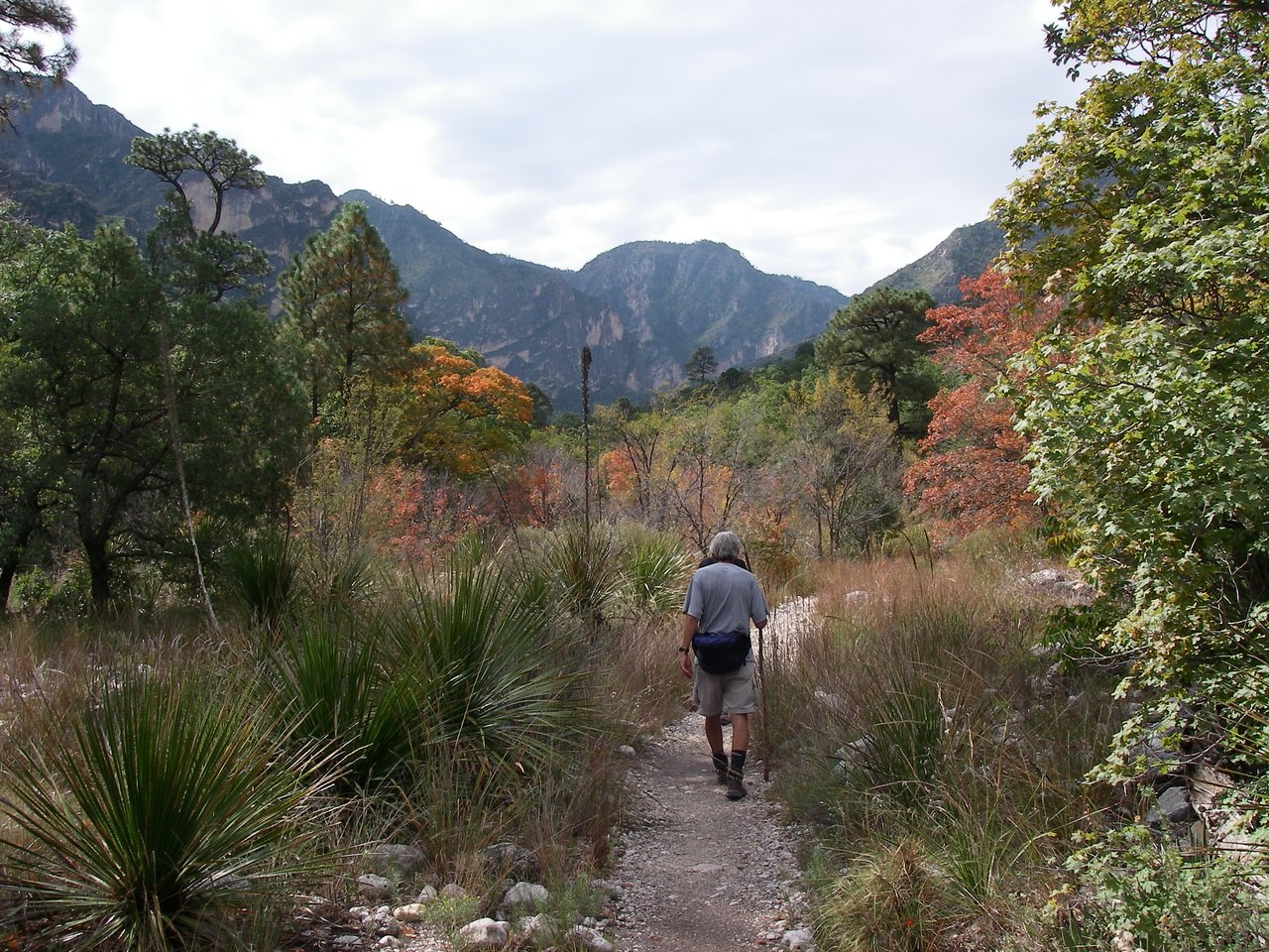McKittrick Canyon