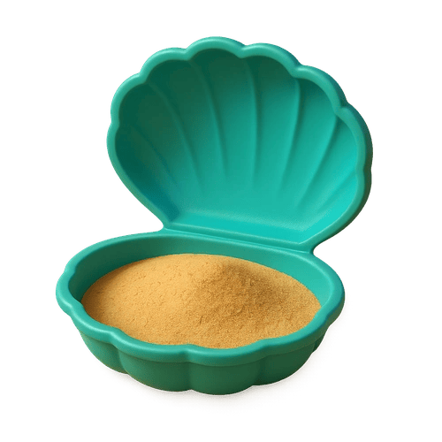 Zandbak schelp