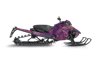 Paisley