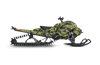 Ecto