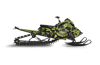 Ecto