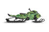 Chlorophyll