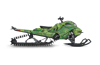 Chlorophyll