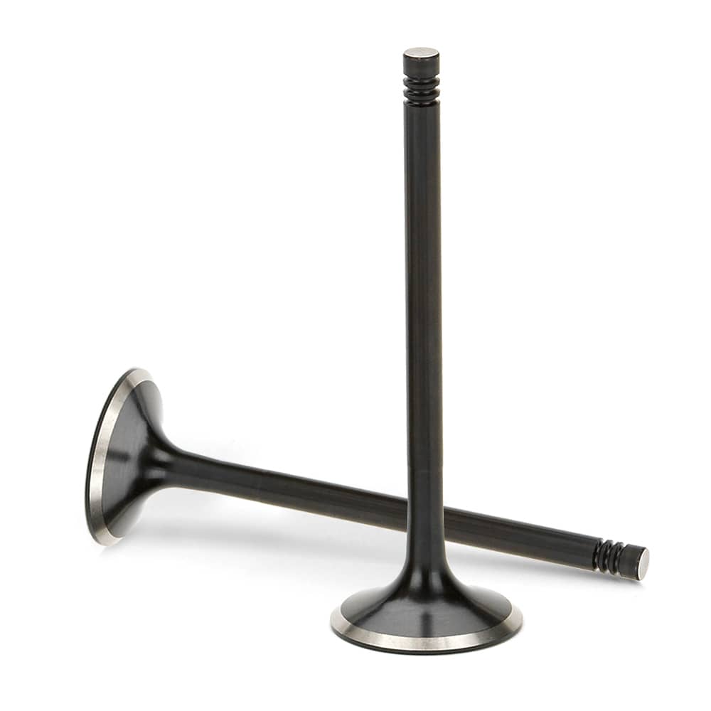 Intake Valves