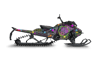 Xpanse