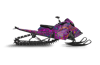 Paisley