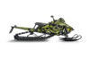 Ecto