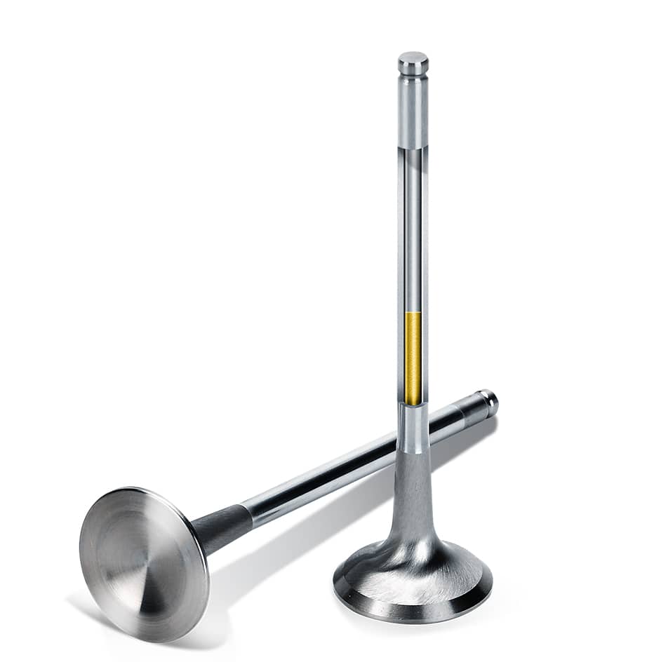 Sodium Filled Valve