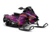 Paisley