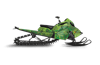 Chlorophyll