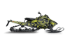 Ecto