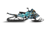 Frost