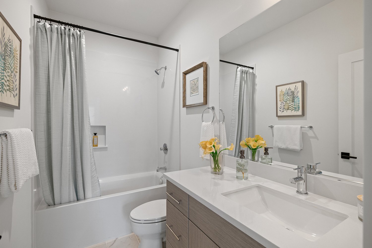 Interior Photos