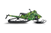 Chlorophyll