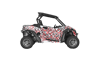 Assault