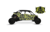 Ecto