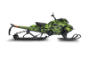 Ecto