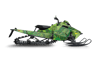Chlorophyll