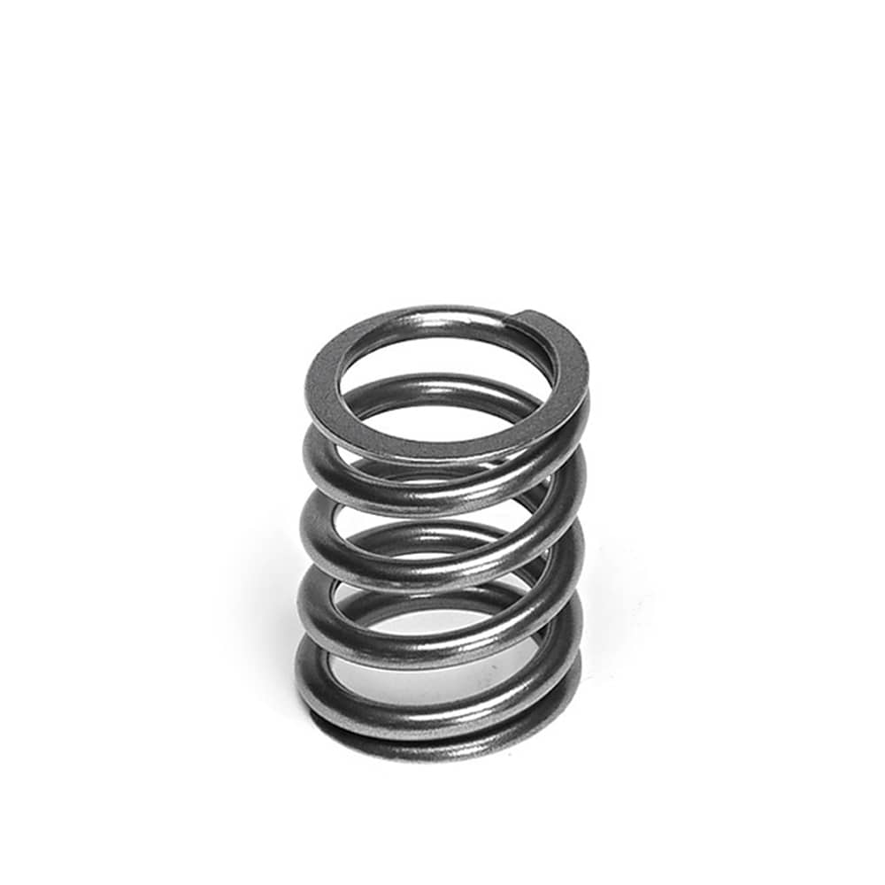 Single Valve Spring