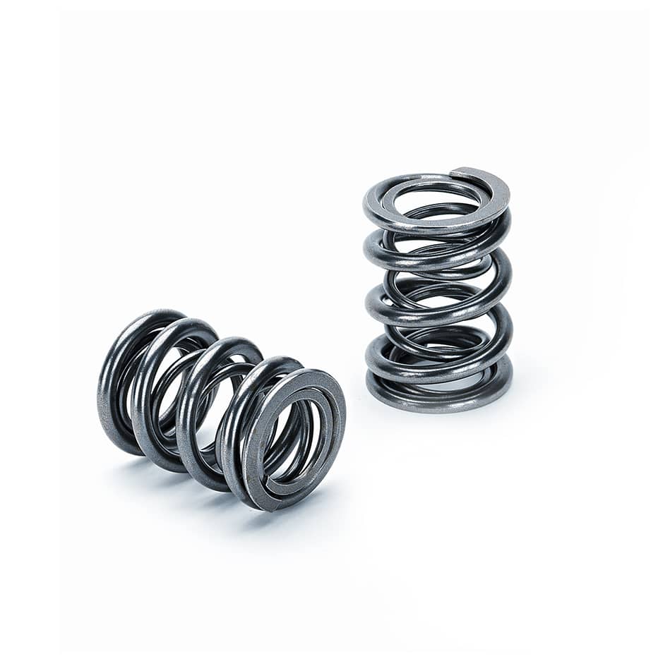 Dual Spring