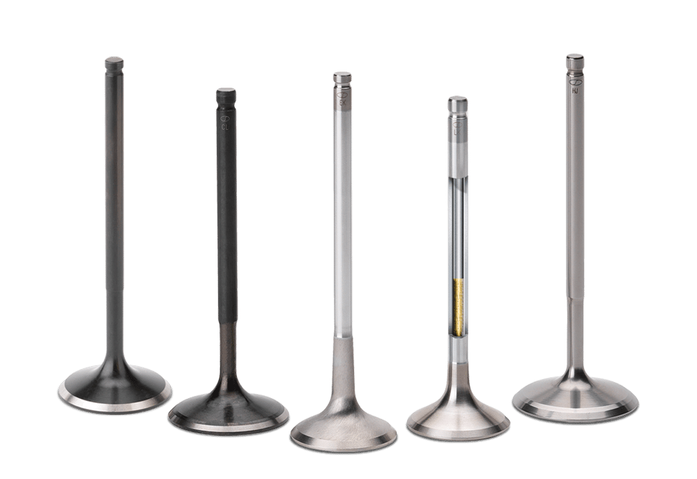 Engine Valves