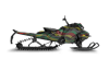 Rasta
