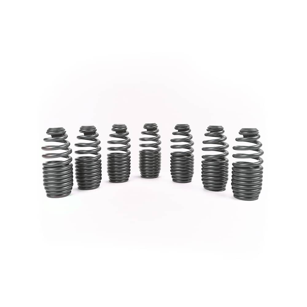 Loss motion spring