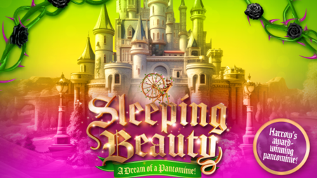 Sleeping Beauty image for the Harrow Arts Centre panto