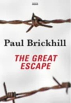 A close up of a barbed wireAI-generated content may be incorrect.