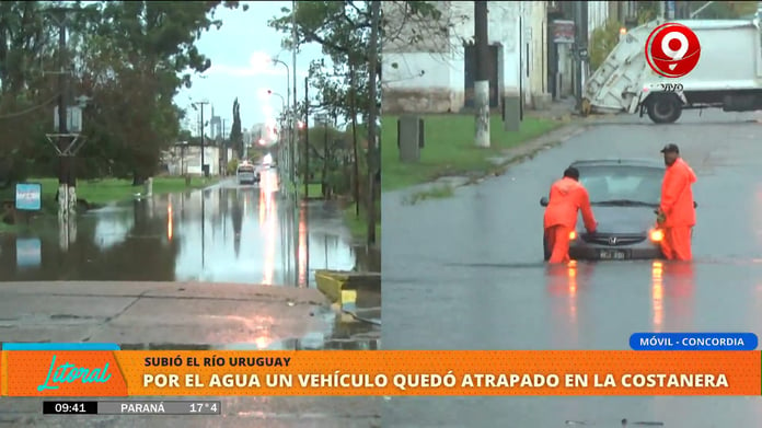 La Municipalidad de Concordia informó que ya hay 8 familias evacuadas por la crecida del Río Uruguay en la ciudad, que podría alcanzar hasta 11,7 metros.