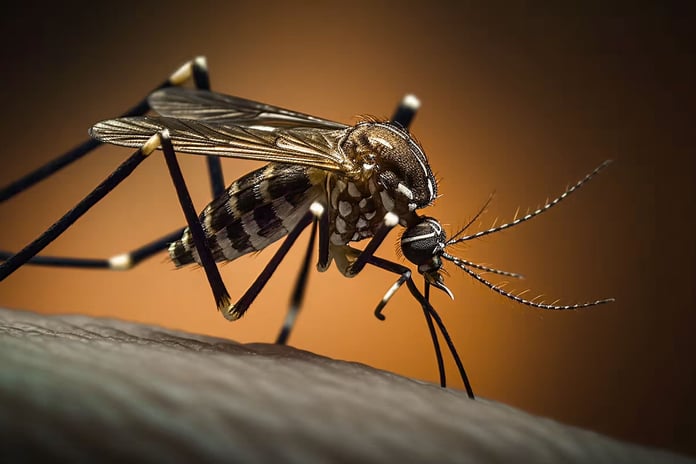 Continúa descendiendo la cantidad de casos de dengue en Entre Ríos.