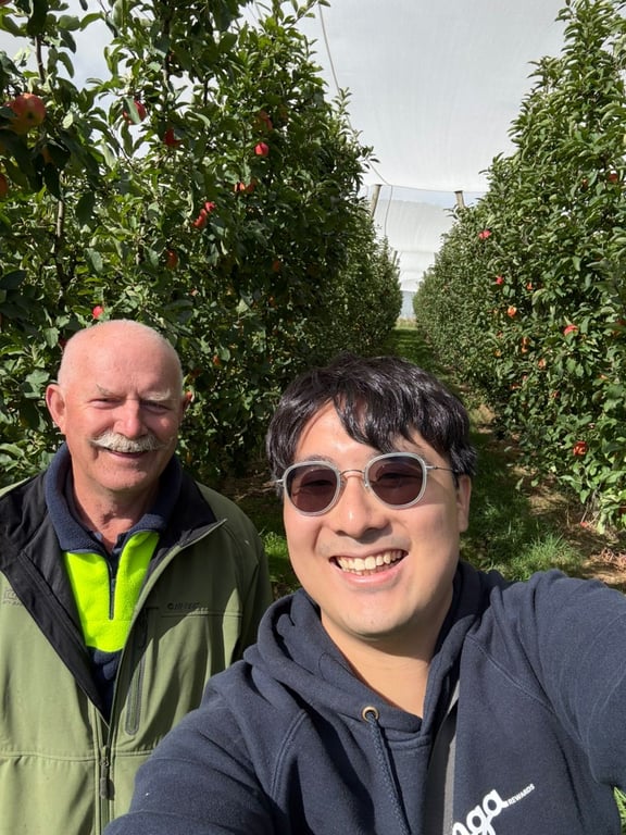 Selfie between apple rows with ripe fruit and overhead crop netting